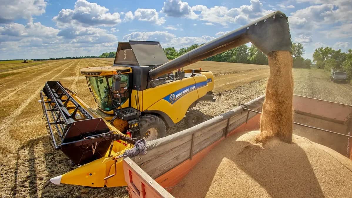 Why is the latest ‘grain deal’ a failure for Russia?