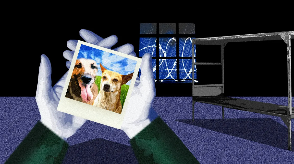 Ownerless