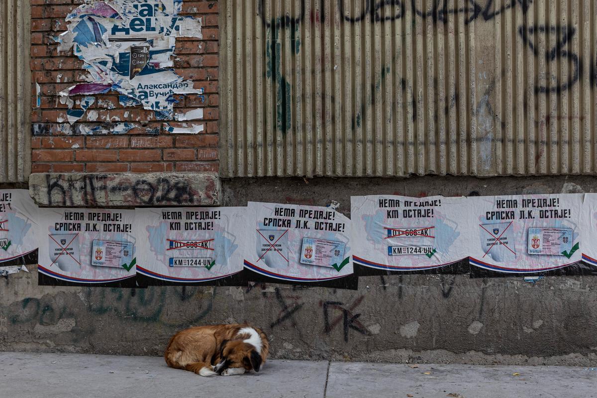 Фото: Влад Докшин / Специально для «Новой газеты.Европа»