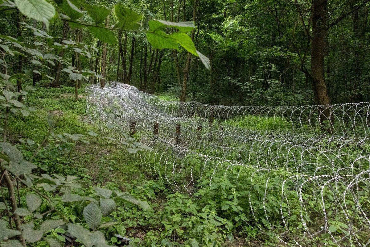 Колючая проволока на линии фронта в Сумской области, июнь 2025 года. Фото: Генштаб ВСУ