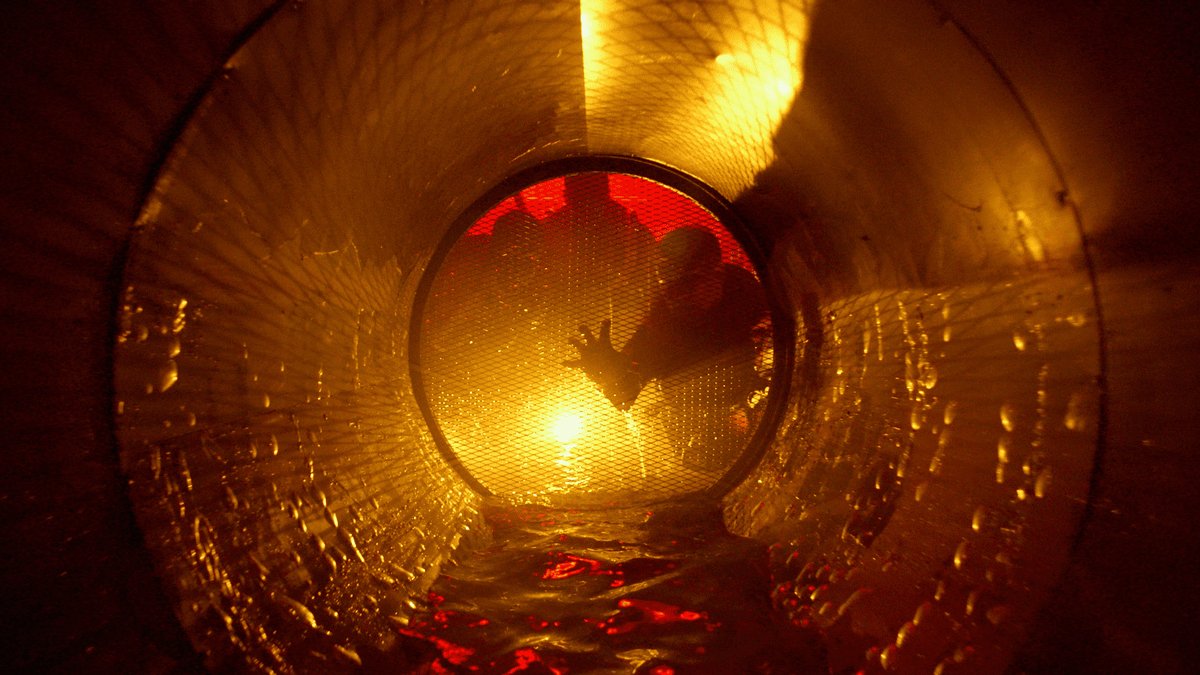 Фото: «Централ Партнершип»