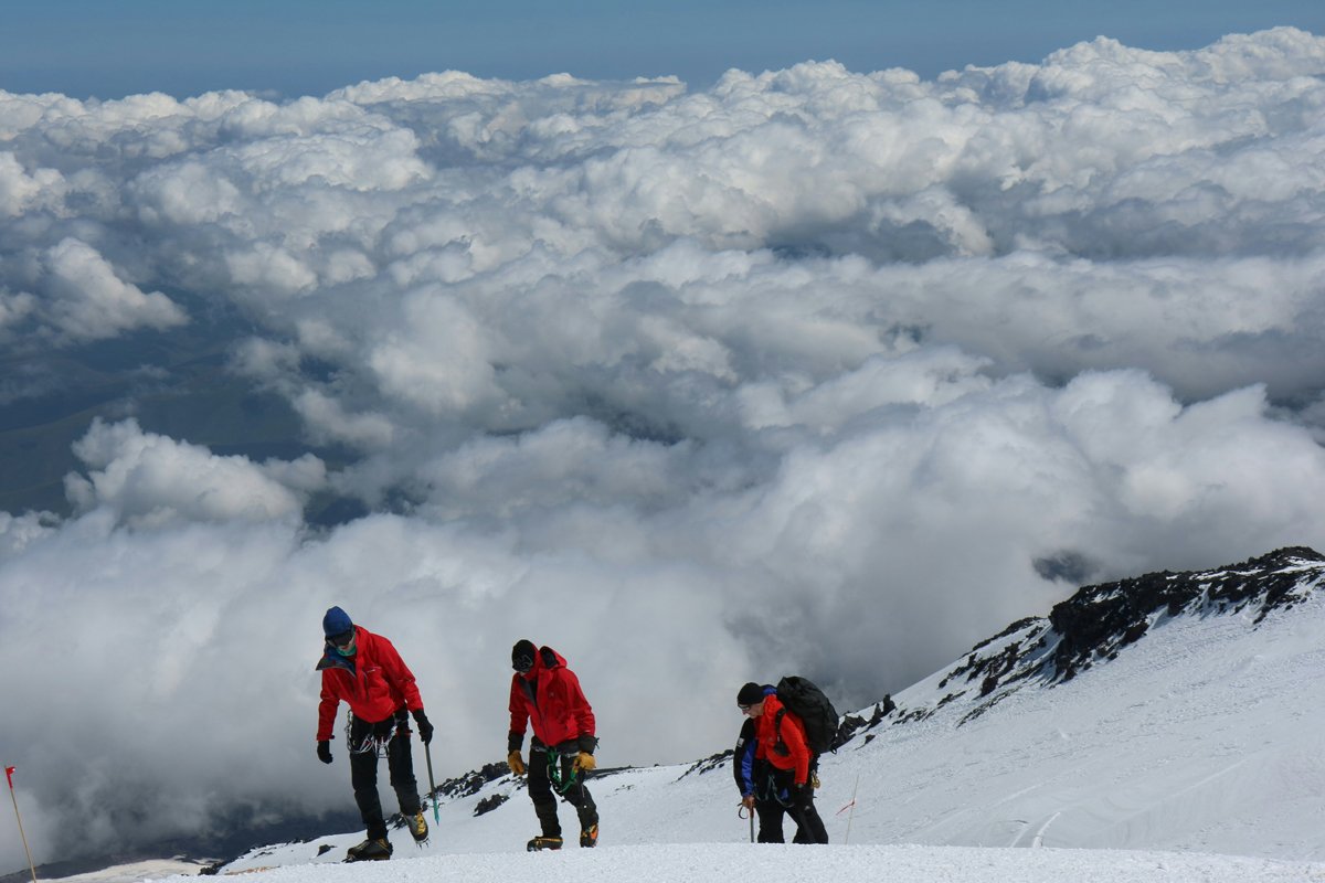 Фото: Tom Cleary / Unsplash