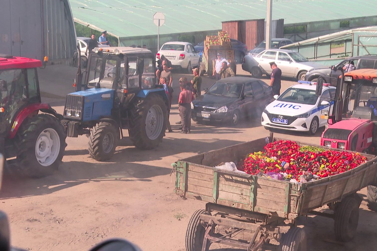 Полицейские проверяют рабочих на ферме. Фото: Вести Воронеж