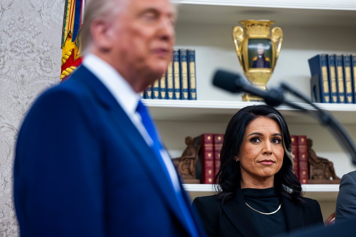 Директор национальной разведки США Талси Габбард на фоне Дональда Трампа в Овальном кабинете Белого дома в Вашингтоне, округ Колумбия, США, 12 февраля 2025 года. Фото: Jim Lo Scalzo / EPA