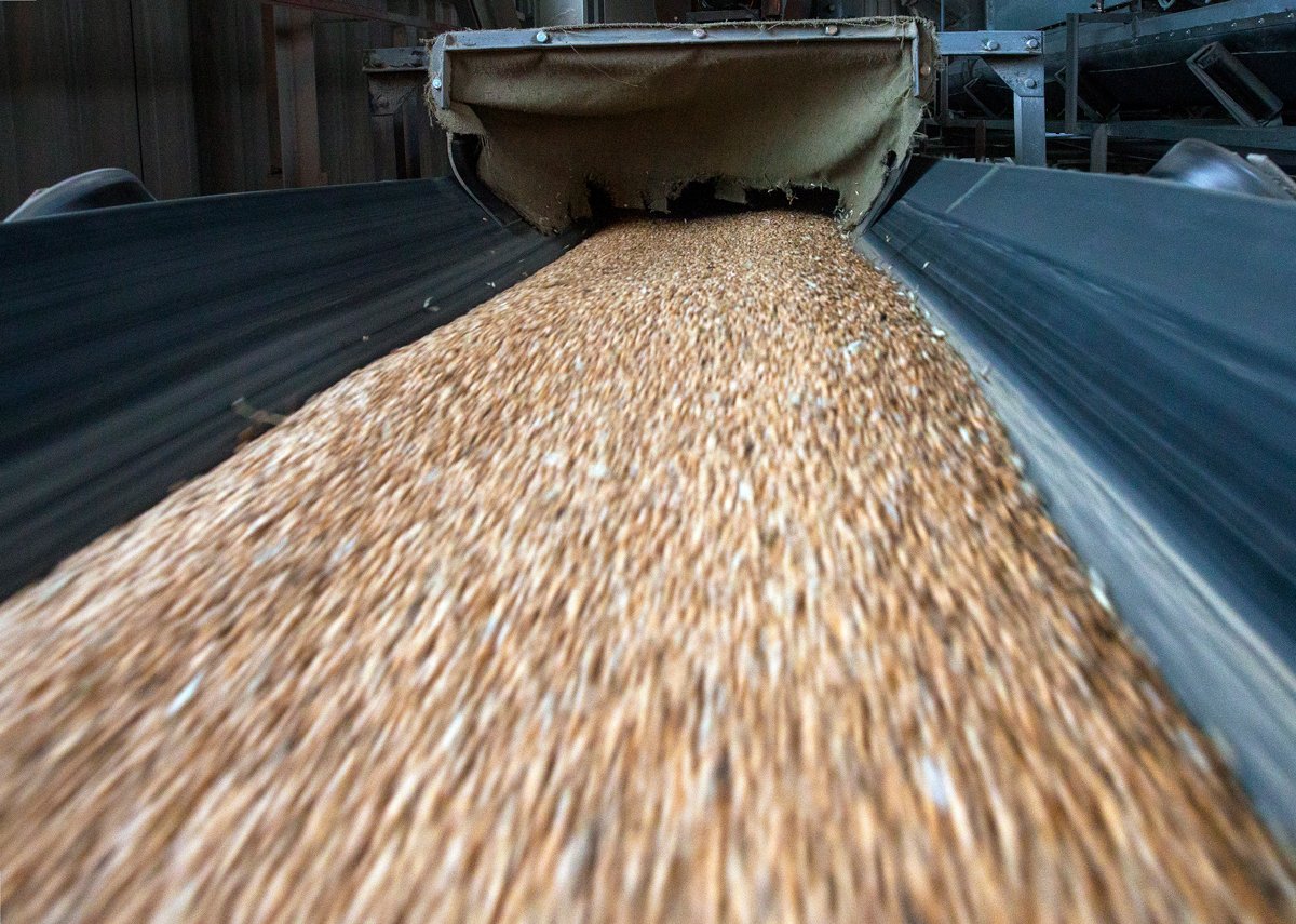 Перегрузка и хранение зерна в морском порту Новороссийска, 2016 год. Фото: Василий Шитов / Коммерсантъ / Sipa USA / Vida Press