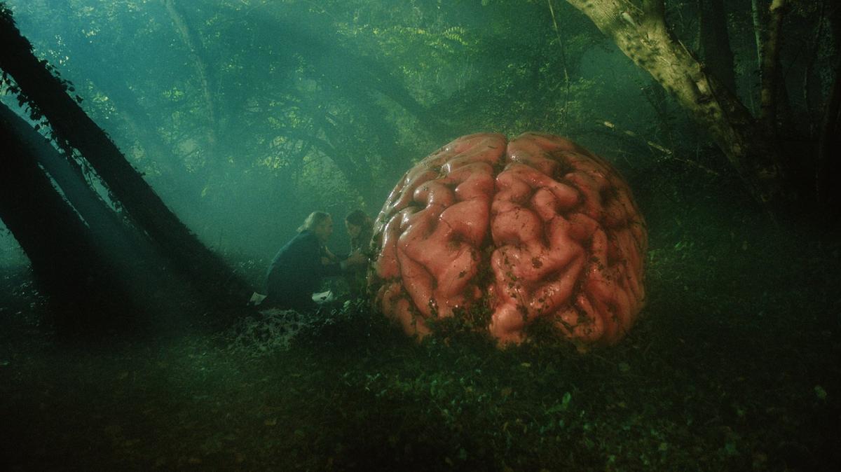 Кадр из фильма «Слухи». Источник: Bleecker Street