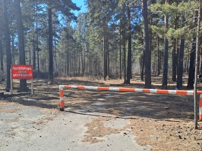 Фото: пресс-служба Минприроды Забайкалья