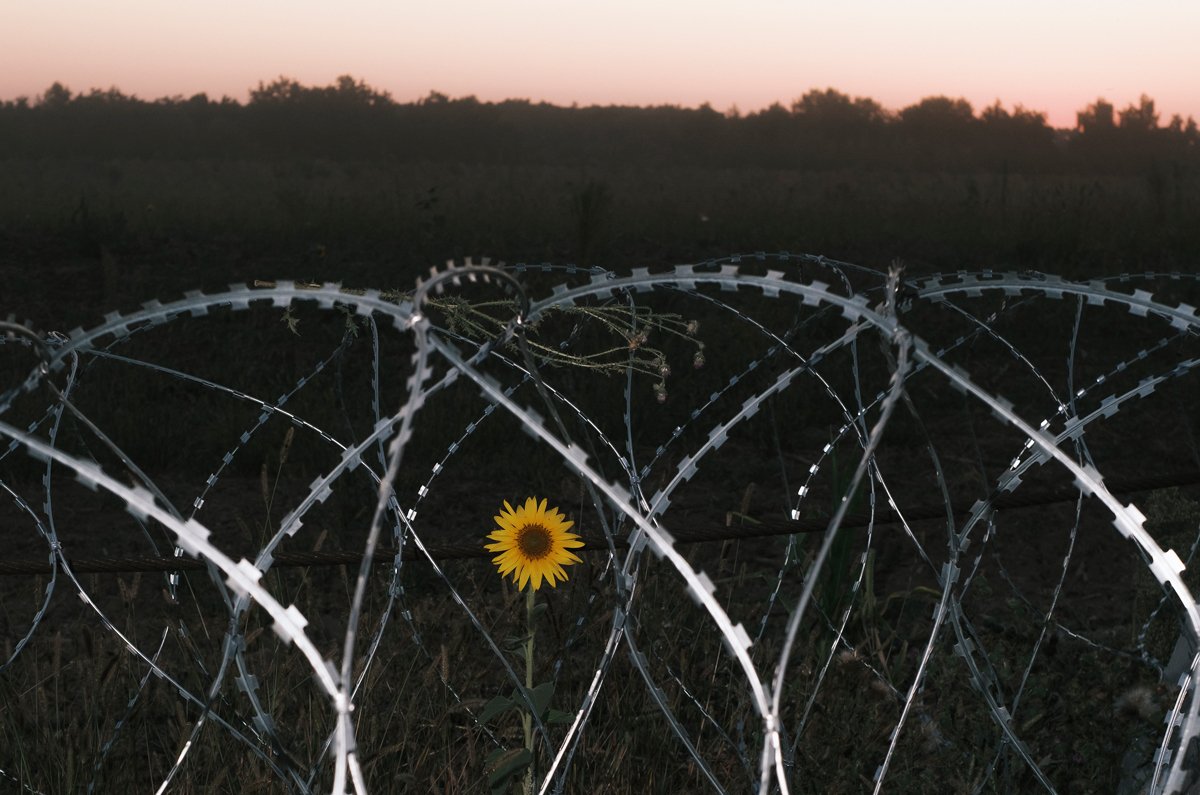 Фортификационные сооружения недалеко от границы с Россией в Сумской области, 17 августа 2024 года. Фото: George Ivanchenko / EPA