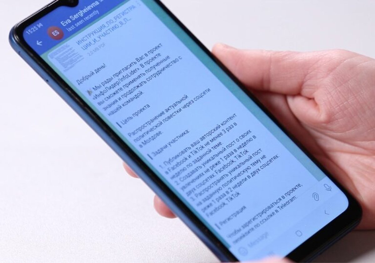 Сообщение, полученное от Евы Сергеевны о проекте «ИнфоЛидер». Фото: Ziarul de Gardă