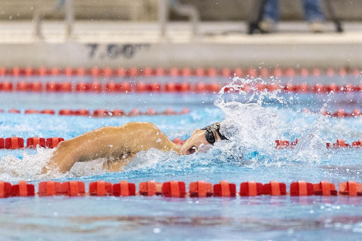 Илья Сибирцев. Фото: sibasstean / Instagram