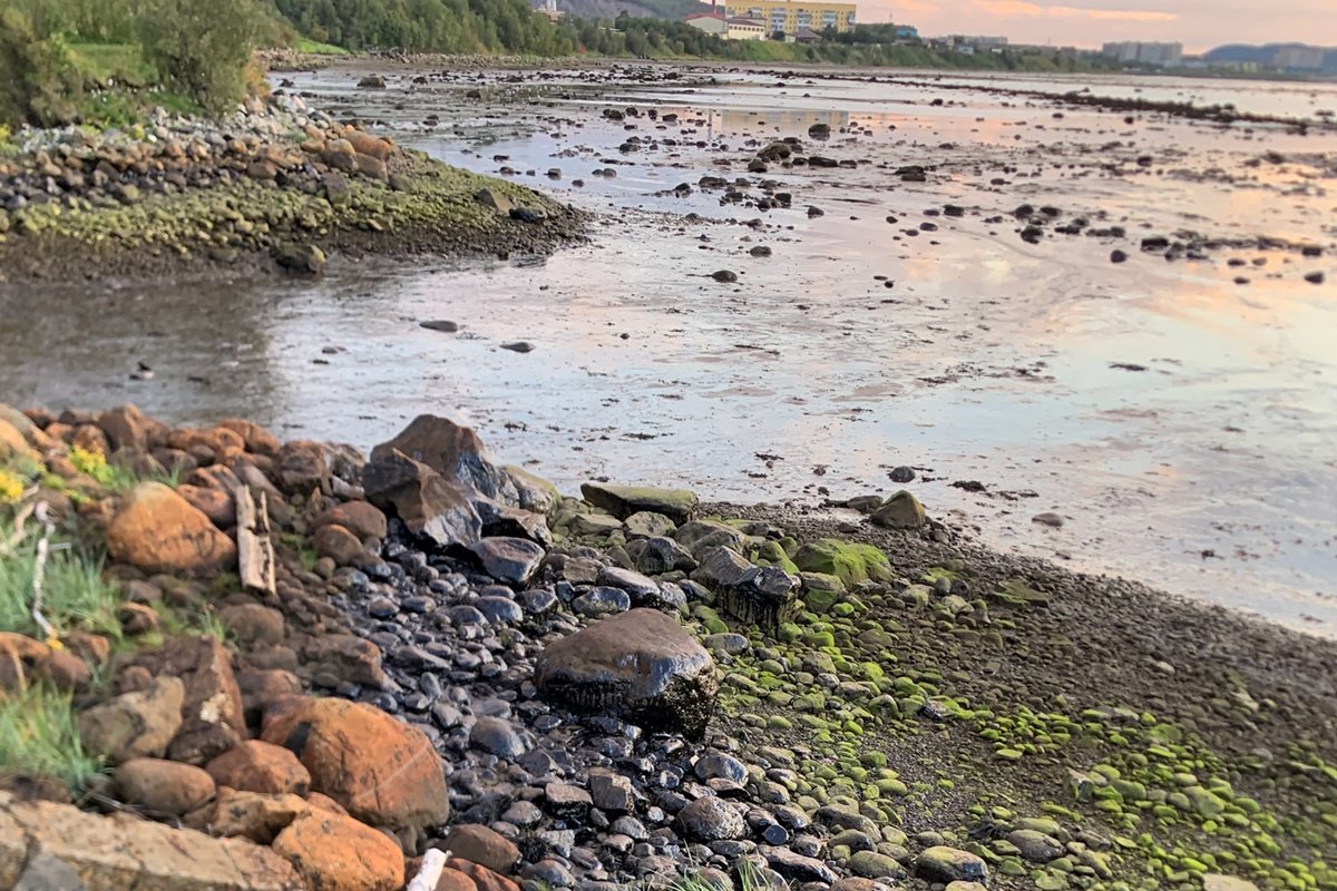 Фото: murmansk_dtp51 / VK