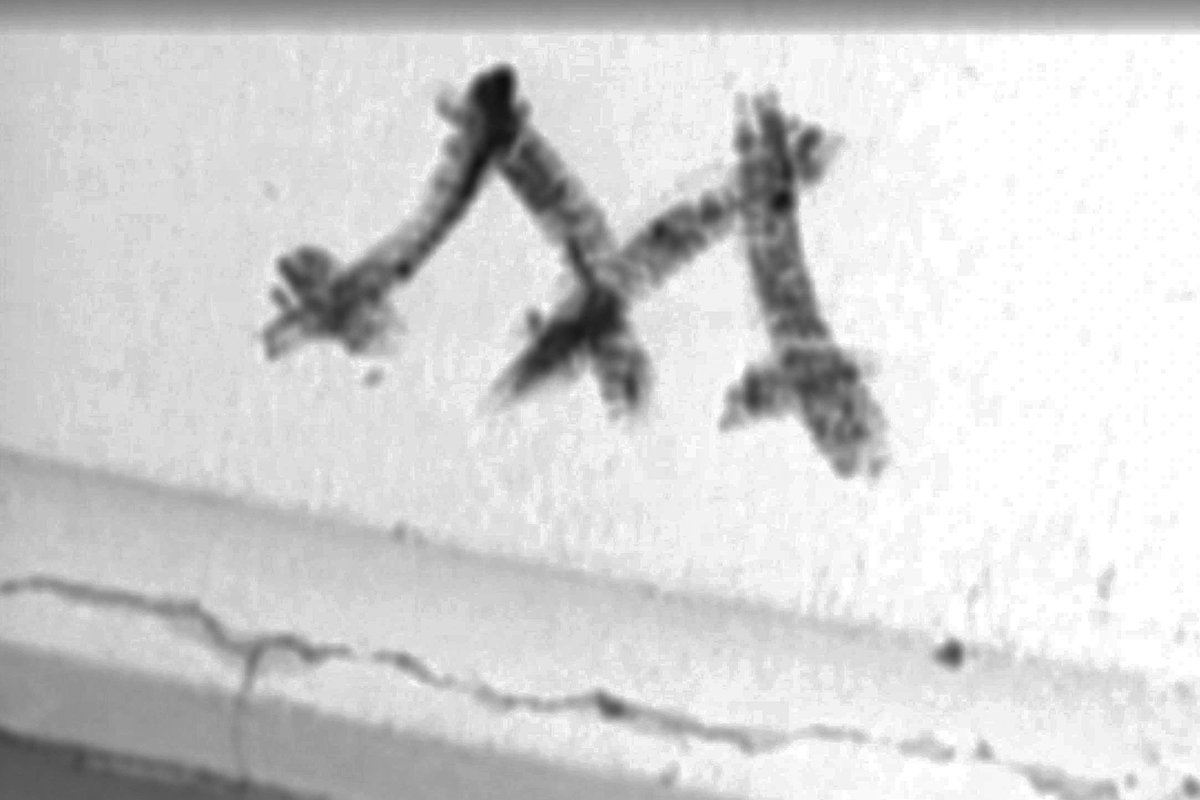 Такой знак находили на каждом месте преступления. Источник: ntv.ru