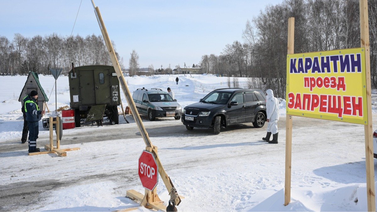 На многие вопросы о забое скота до сих пор нет ответов