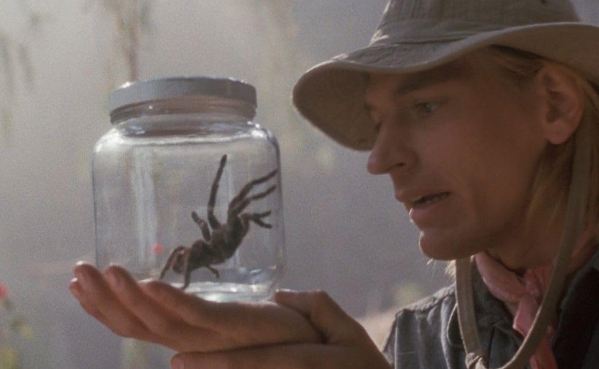 Кадр из фильма «Арахнофобия». Фото: imdb.com