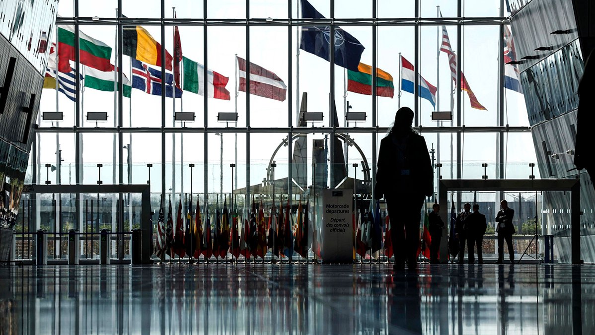 Тридцать один и один