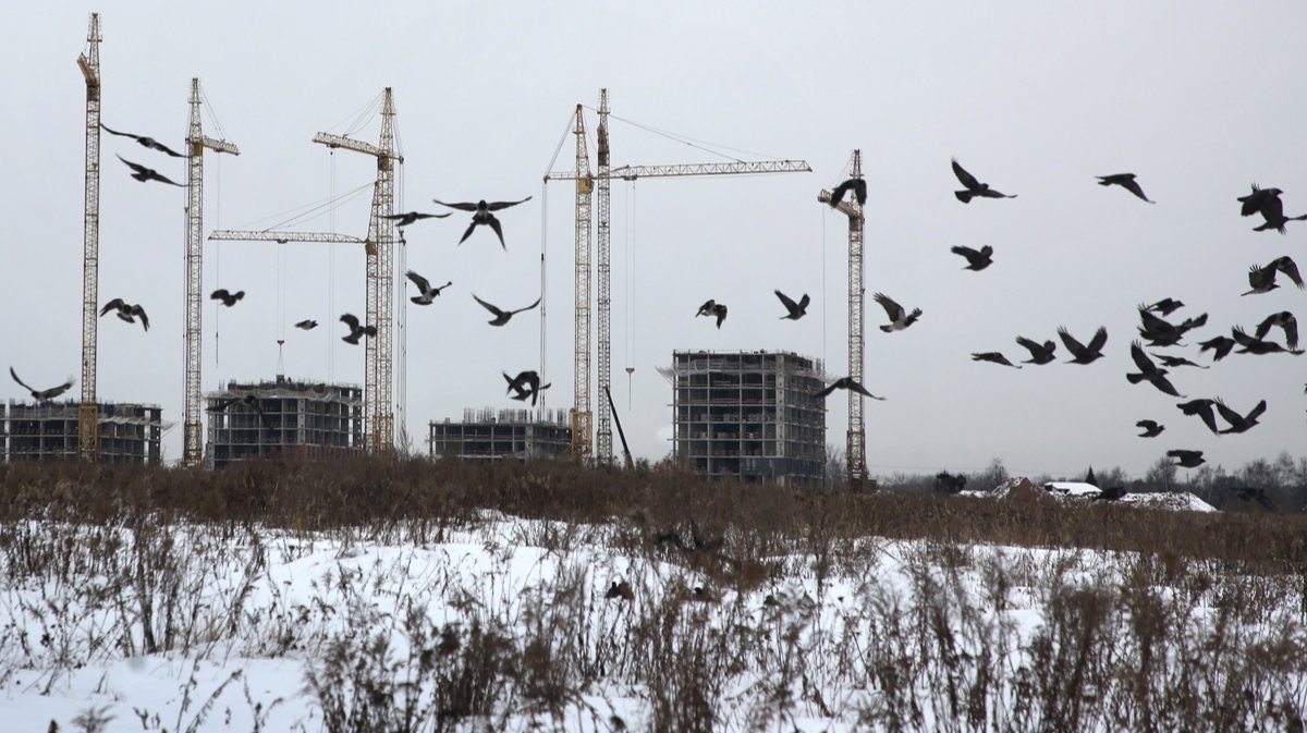 Прощай, недвижимость